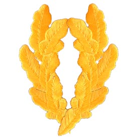 GOLD SCRAMBLED EGGS PATCH  