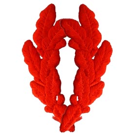 RED SCRAMBLED EGGS PATCH  