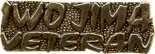 IWOJIMA VETERAN PIN  
