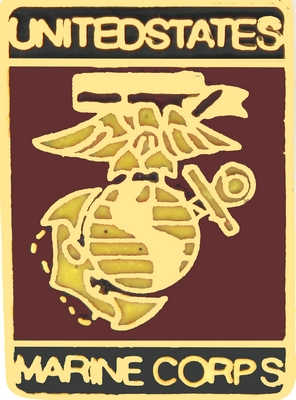 US MARINE CORPS PIN  