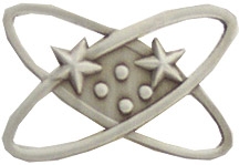 ELECTRONIC TECHNICIAN PIN  