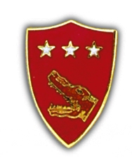 5TH MARINE AMPHIBIAN PIN  