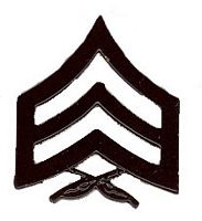 SGT. STRIPES PIN  