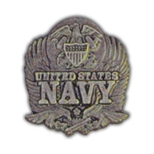 NAVY EAGLE PIN  