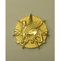 US ARMY ELEMENT MULTI NATIONAL FORCE IRAQ    