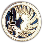 METRO PARATROOPERS PIN  