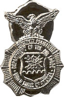 USAF SECURITY POLICE PIN  
