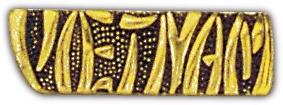 VIETNAM PIN  