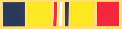 COMBAT ACTION RIBBON PIN  