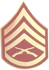 E-6 STAFF SGT PIN  