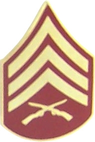 E-5 SERGEANT PIN  