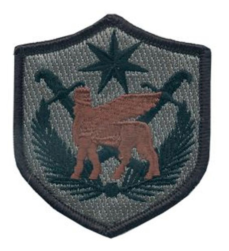 MULTI-NATIONAL FORCE-IRAQ    