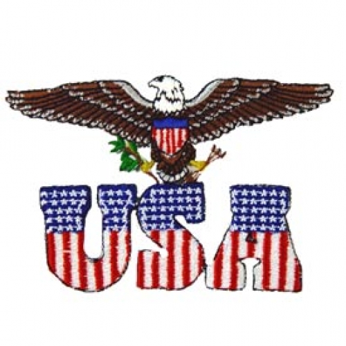 USA EAGLE PATCH  