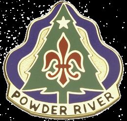 91ST DIV  (TRNG) USAR    