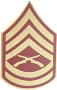 E-7 GUNNERY SGT PIN  