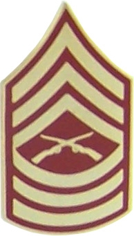 E8 MASTER SGT. PIN  