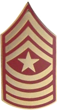 E9 SGT MAJOR PIN  