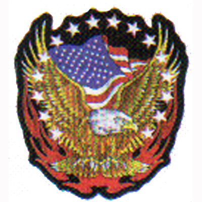 Eagle Flag Patch  