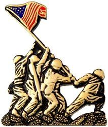 VIETNAM CAMPAIGN PIN  